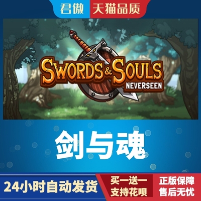 SteamPC正版游戏剑与魂