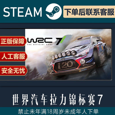 Steam正版 国区KEY 世界汽车拉力锦标赛7 WRC7 国区CDK 现货秒发
