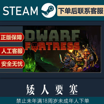 STEAM正版 矮人要塞 Dwarf Fortress 殖民模拟 基地建设 PC
