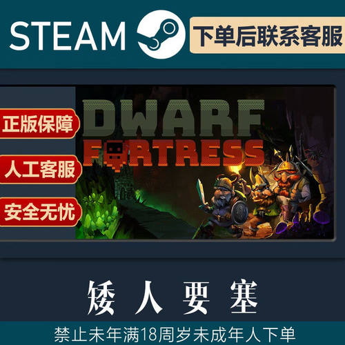 STEAM正版 矮人要塞 Dwarf Fortress 殖民模拟 基地建设 PC