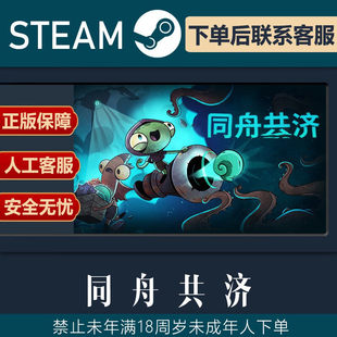 Steam 同舟共济 Ship of Fools 国区激活码CDK PC中文游戏正版
