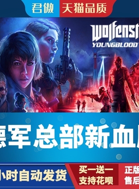 Steam PC正版 游戏 德军总部：新血脉 Wolfenstein: Youngblood