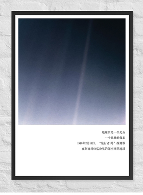 [暗淡蓝点]创意海报-AskMusk出品-挂画/摆画/装饰画/办公室/书房