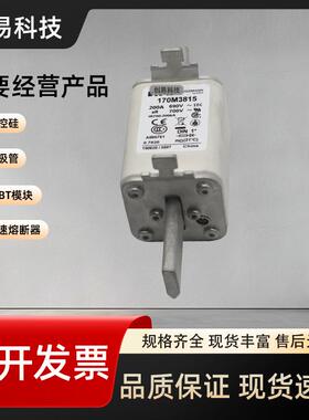 170M3815D170M3816D170M3817D170M3818D170M3819D熔断器系列
