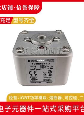 170M5593170M5594170M5595170M5596170M5597170M5598熔断器