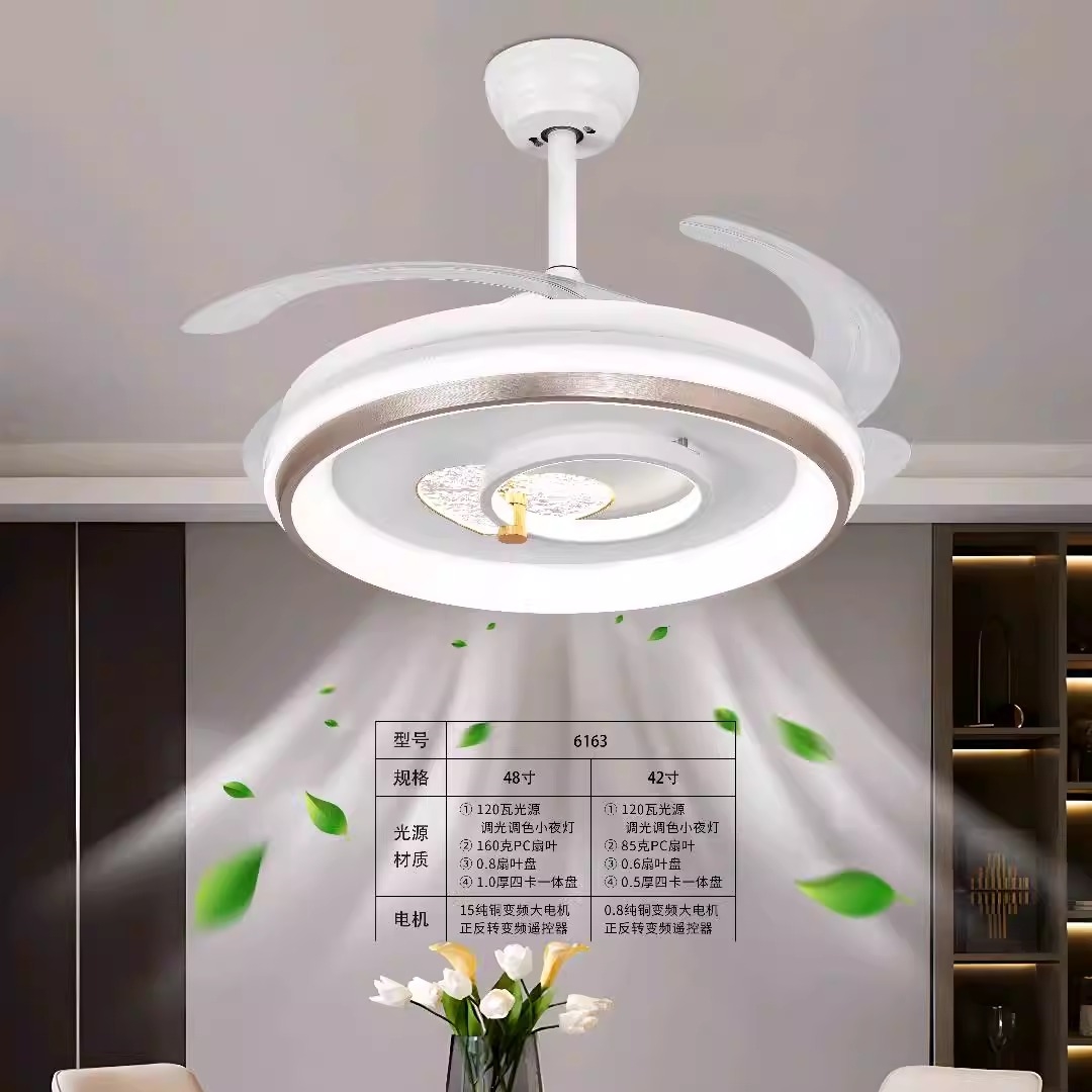 风扇灯2025新款家用客厅餐厅吊扇