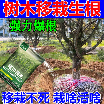 树木移栽生根粉快速生根植物果树通用树木移栽植物强力有机生根粉