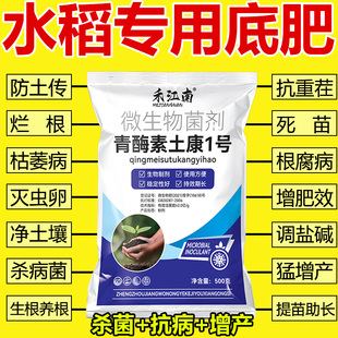 水稻底肥宝水稻种植专用调理土壤促根壮苗改善品质微生物肯