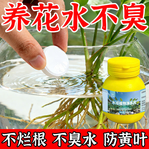 水培植物净水片富贵竹专用去混净水质促根净化水质叶面肥