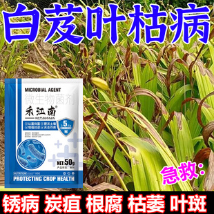 白芨专用药白芨病菌清黑斑软腐病炭疽病灰霉病黄锈病除专用杀菌剂