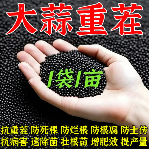 大蒜重茬病防治专用【1袋3亩】抗重茬土壤改良剂防烂根死棵抗杀菌