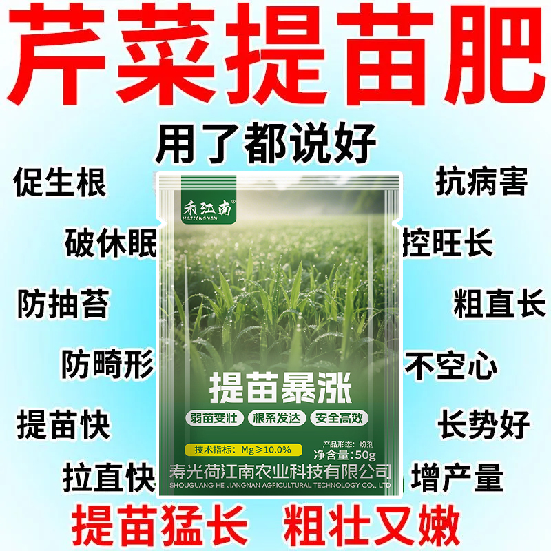 芹菜猛长芹菜专用肥料增粗增白拉长嫩绿西芹通用芹菜速长叶面肥