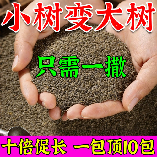 树木生长素猛长速特快果树快速生长专用肥料营养液生根剂移栽树苗