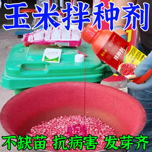 玉米拌种剂包衣剂玉米专用拌种微生物菌剂抗病菌玉米悬浮种衣剂