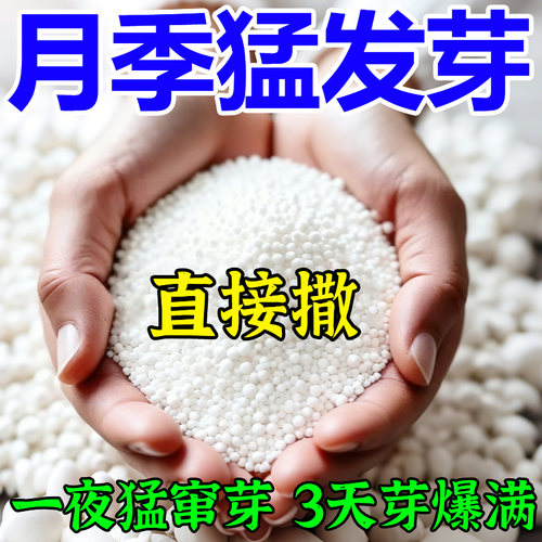 【月季猛发芽】植物催芽剂老桩促发芽月季三角梅发财树优芽素通用