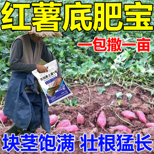 红薯底肥宝种植专用芋头健壮块根饱满改善土壤促发侧根正品