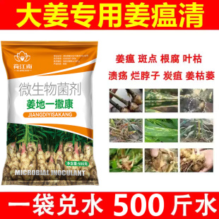 姜瘟一撒清姜瘟清灵生姜专用药大姜根腐病黄叶烂脖子杀菌剂叶面肥