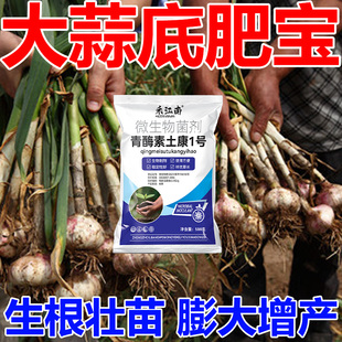 大蒜底肥宝专用复合肥颗粒底肥追肥农用种菜肥料氮磷钾缓释肥高产