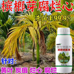槟榔烂心病专用绿护沃槟榔叶斑炭疽果腐烟煤病芽腐条斑病专用药