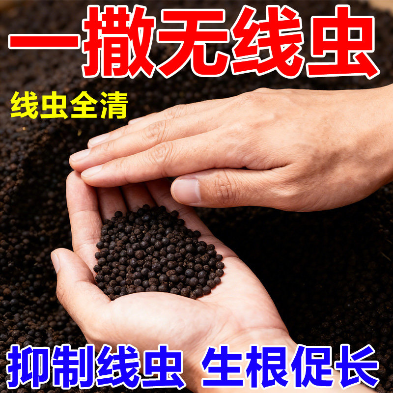 根结线虫专用淡紫紫孢菌长枝木霉菌根线虫根瘤菌微生物菌根线清