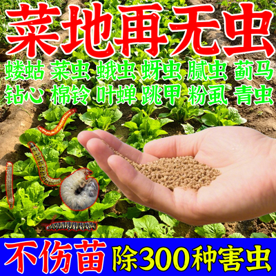 撒施型防虫药清菌颗粒剂土壤除虫专用种果蔬菜地驱虫杀虫专用肥料