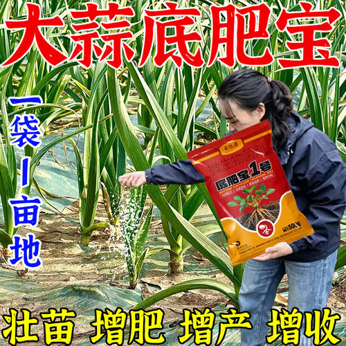 大蒜底肥宝大蒜基肥种植专用改善土壤提高免疫力快速吸收中量元素