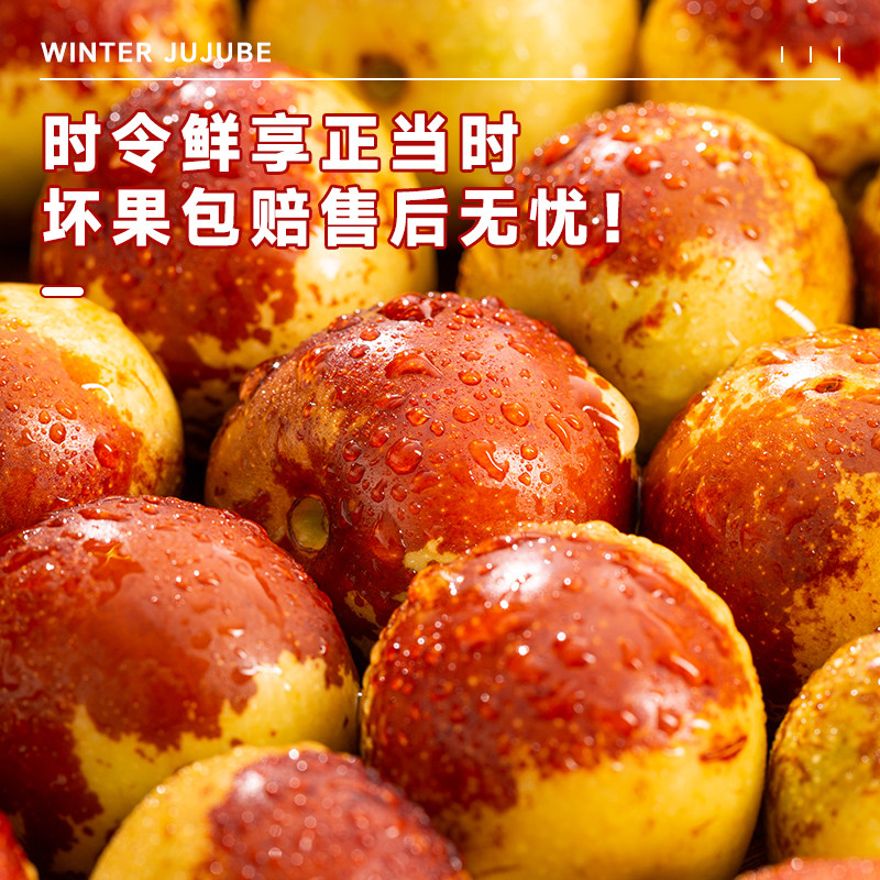【大荔冰糖冬枣】正宗陕西大荔冬枣脆甜大枣子青红枣皮薄肉厚核小