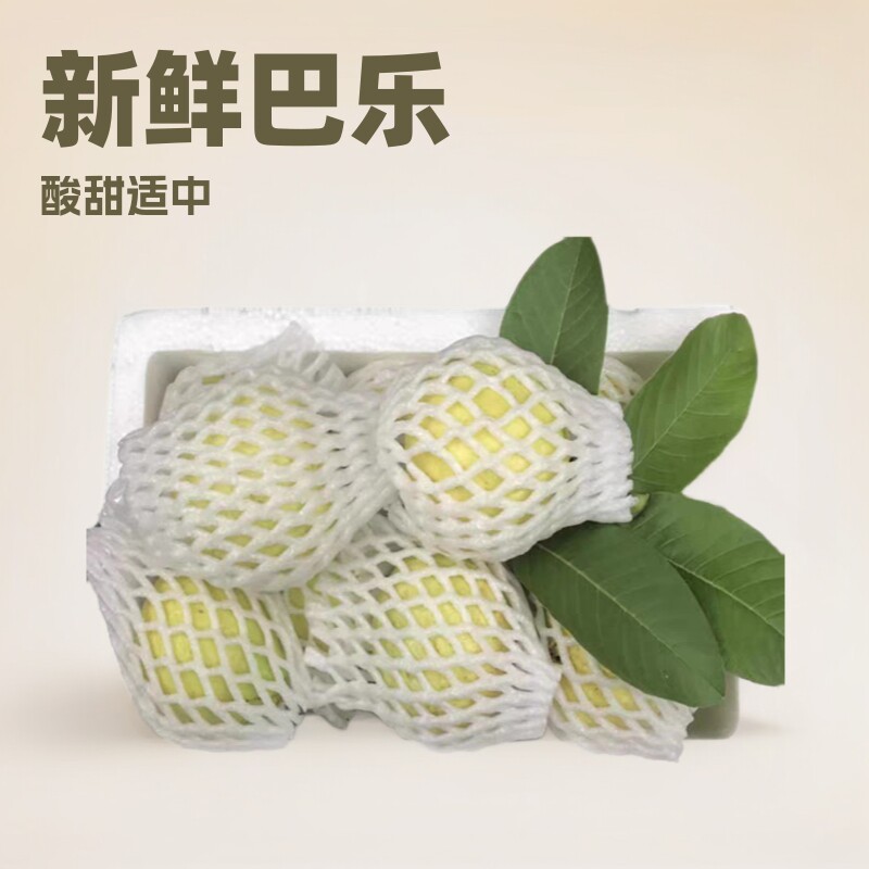 芭乐番石榴当季新鲜水果胭脂红脆硬清甜一年四季红心巴乐送酸梅粉