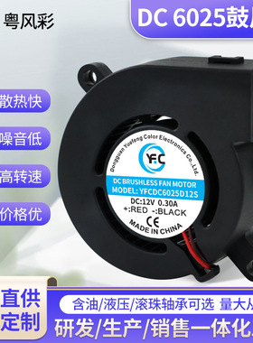 DC6025鼓风机12V气泡机汽车座椅通风净化器打印设备USB离心鼓风机