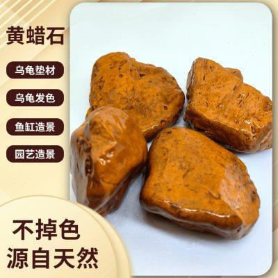 黄蜡石天然木纹乌龟晒台石头鱼缸造景黄喉缘发色躲避洞庭远造景石