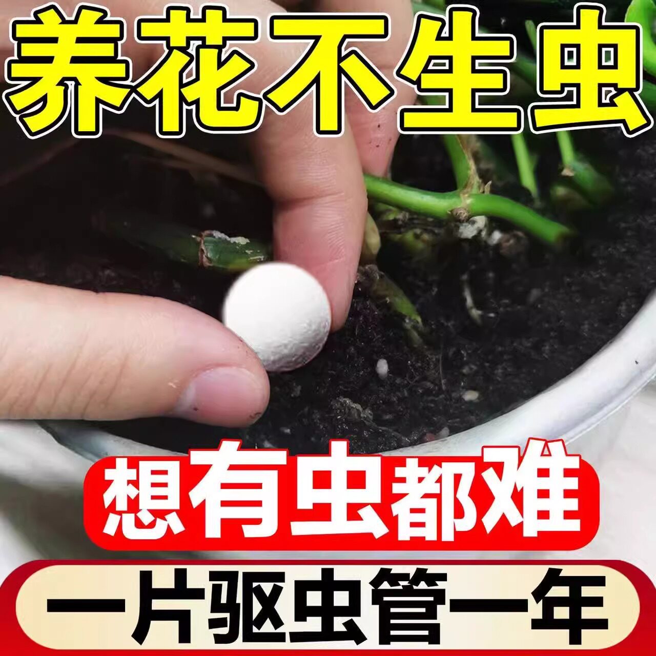 花盆防虫颗粒驱虫药园艺除虫片植物杀虫防虫小白药土壤杀虫剂家用