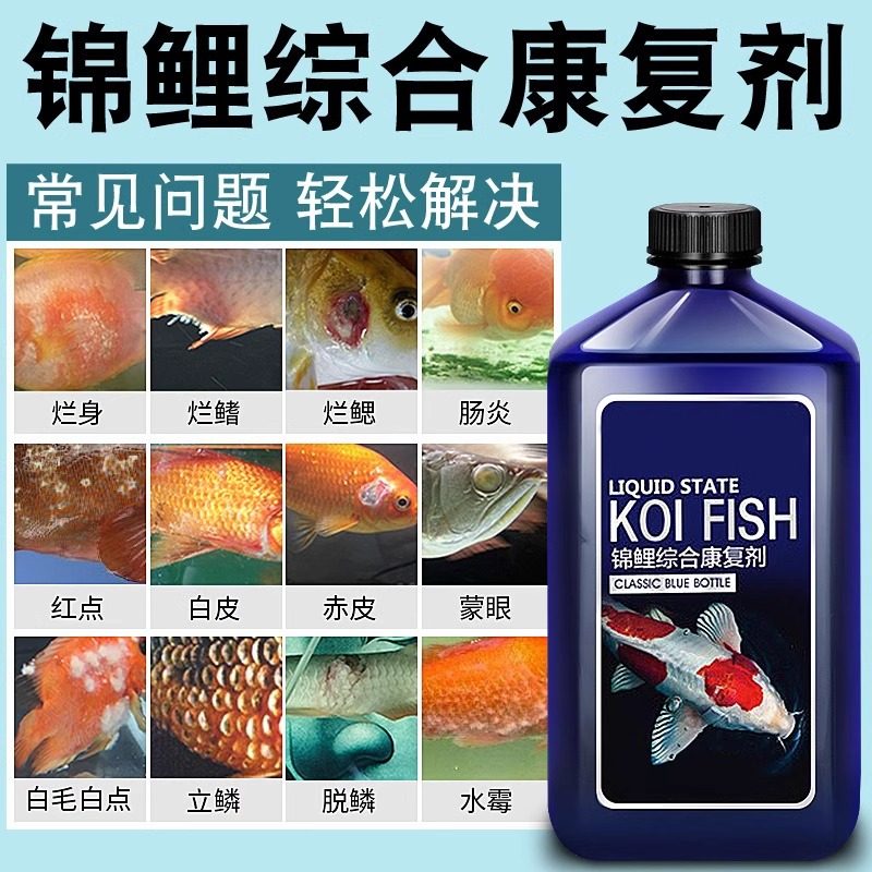 锦鲤鱼病专用药炸鳞烂身烂尾烂鳍水霉观赏金鱼缸杀菌消毒专治药液