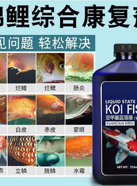 【锦鲤鱼病专用药】烂尾烂身药液