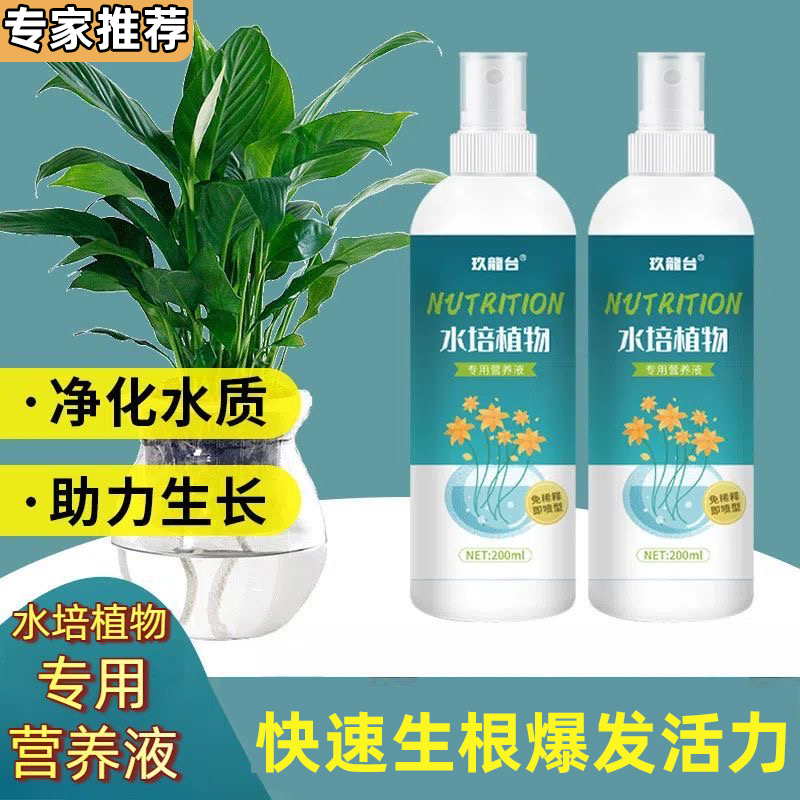 水培植物专用营养液免稀释盆栽花卉绿萝富贵竹壮苗生根液体花肥料
