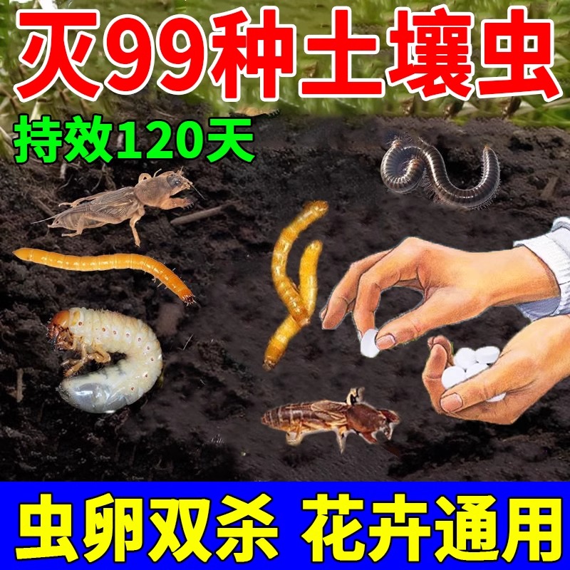 【虫卵双杀】花盆土壤杀虫片