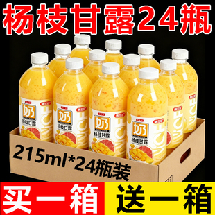 【买1箱送1箱】杨枝甘露瓶装饮料整箱215mlx24瓶特价0脂肪新日期