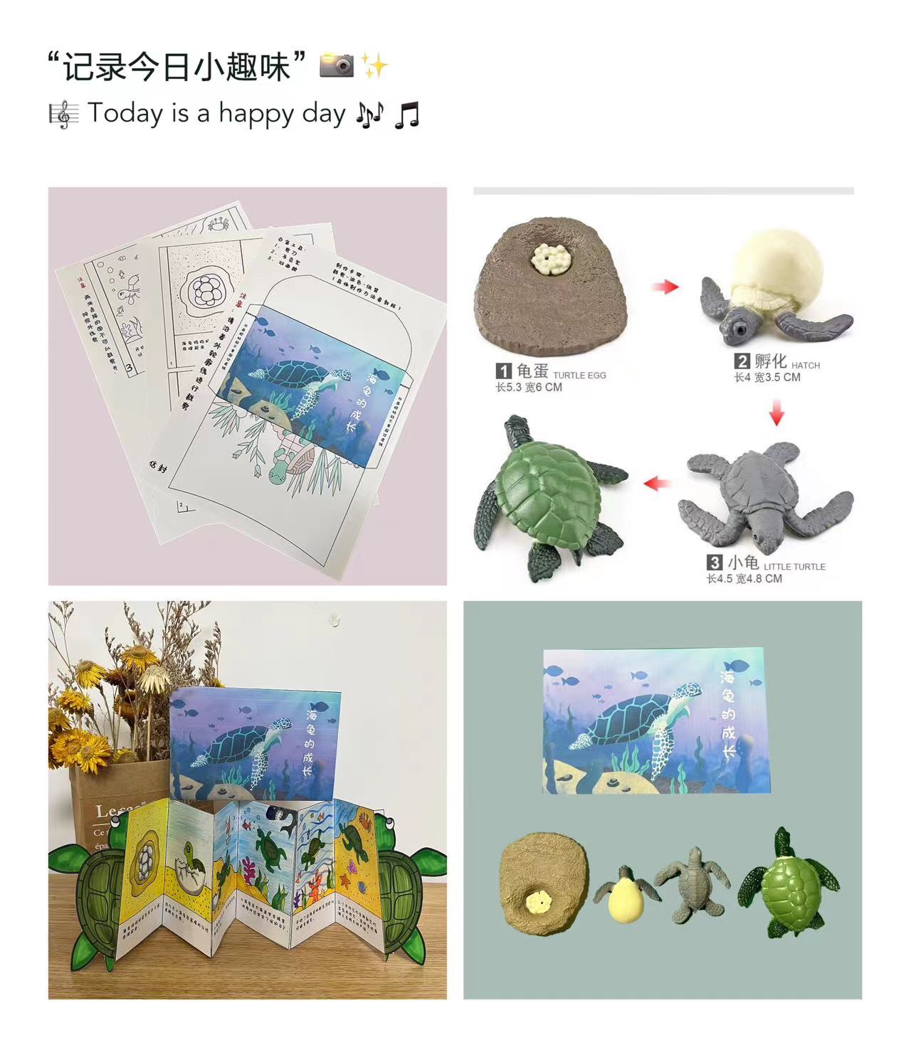 儿童幼儿早教益智手工科普涂色绘本加同款仿真成长模型4套