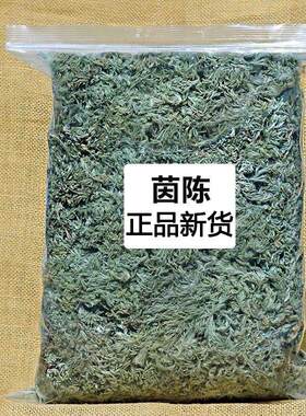 精选新货茵陈泡茶泡水