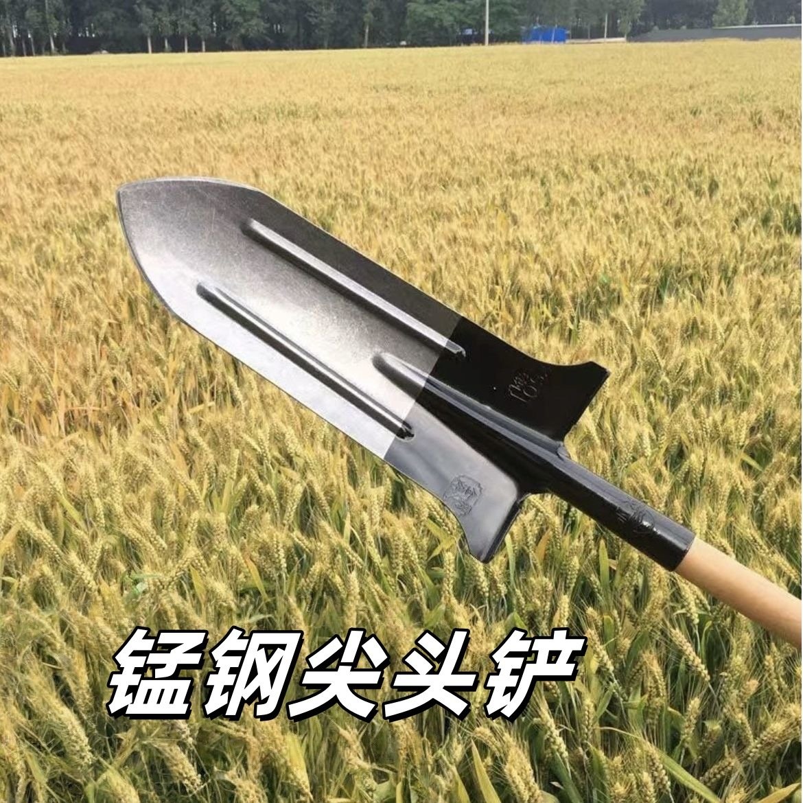 锰钢加长窄细锹全钢尖头铲子加长版挖深沟挖洞挖树锹窄口加长铲子,农机/农具/农膜,铲子,淘宝优惠券,粉丝福利购,淘宝优惠卷