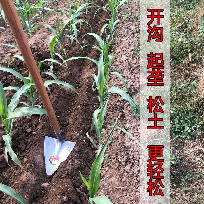 大小三角镐尖锄头园艺起垄松填土刨沟种植工农具木柄苗圃钢铁修路