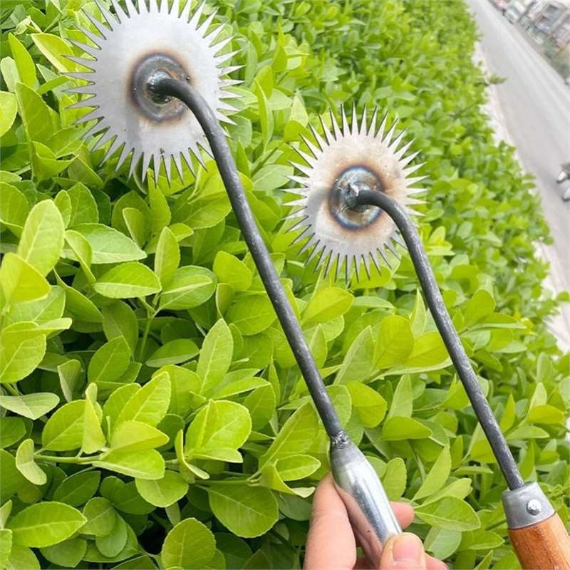 太阳花除草拔草神器连根锄草挖野菜小号锄头锰钢手动式搂草小耙子
