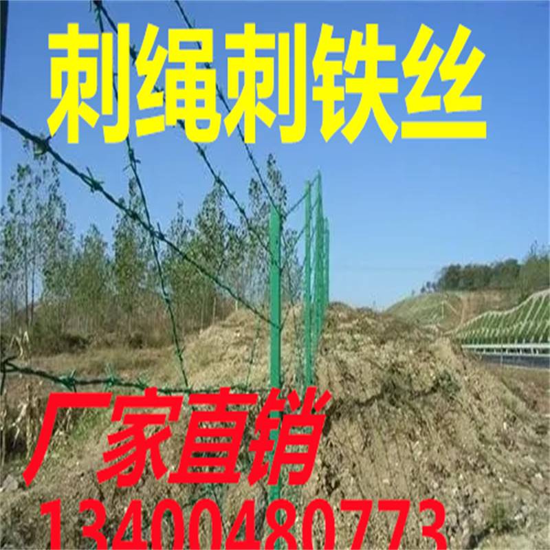 广州厂家直销镀锌刺线刺绳带刺铁蒺藜护栏网防锈防盗圈地围栏网