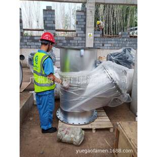 DN450 DN800 DN500 DN700 厂家直供 DN600 Y型法兰伸缩过滤器