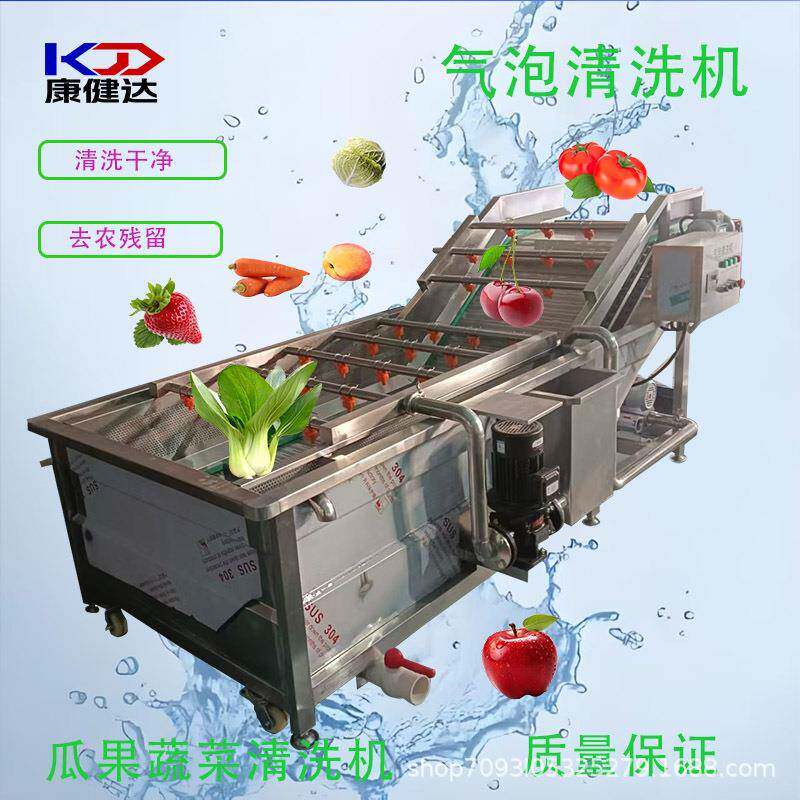 直销全自动果蔬气泡清洗机 果蔬臭氧洗菜机 大型香菇清洗设备