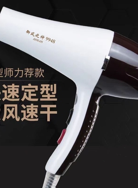 御风之神AIOLOS9948发廊专用大功电吹风耐用防摔家用吹风筒宿舍率