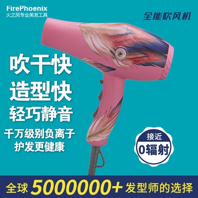 火之凤吹风机8960理发店发廊专用