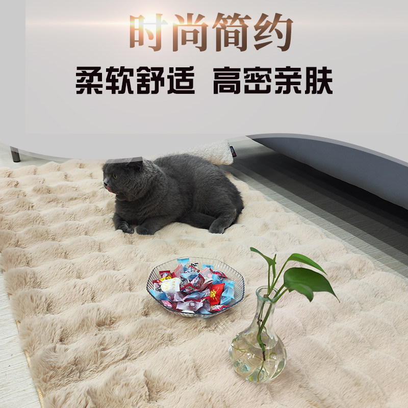 地毯卧室满铺床边榻榻米地垫仿兔毛绒客厅茶几毯加厚ins风飘窗垫