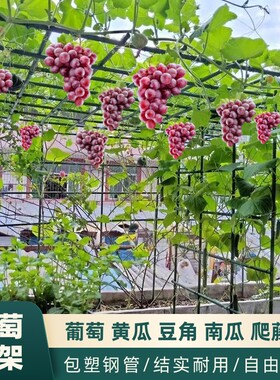 庭院葡萄架爬藤架支撑杆