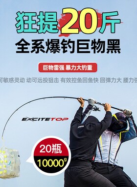 雷强竿调轻雷套装打黑竿雷杆碳素钓鱼竿重雷黑鱼竿W雷强杆路亚竿