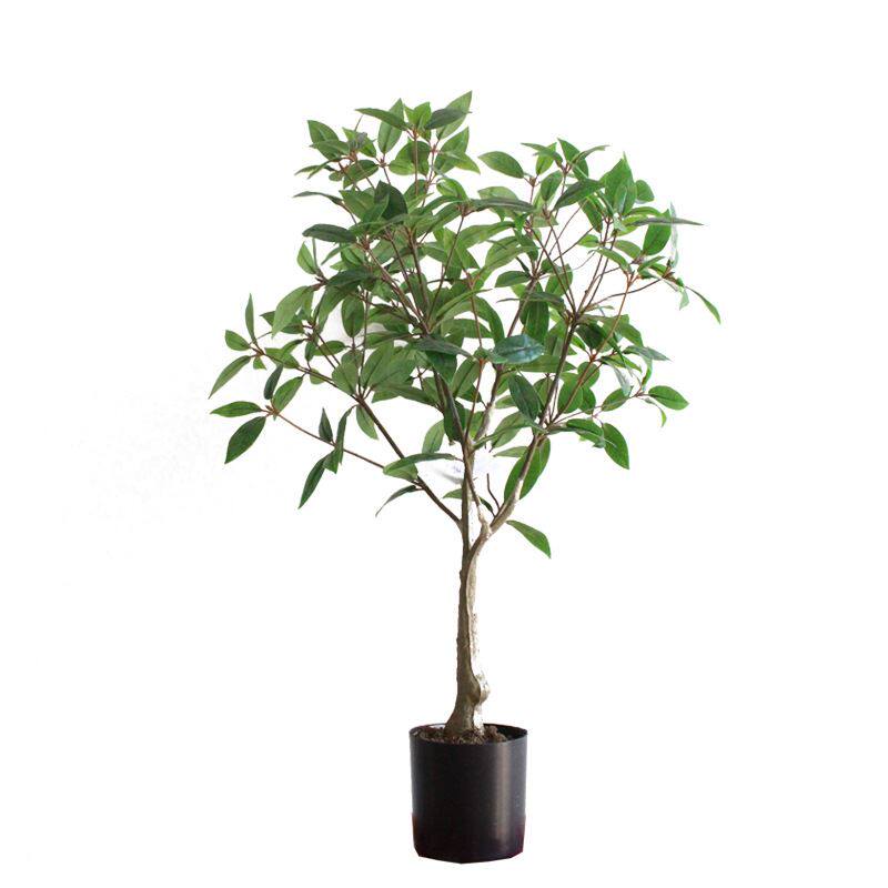 仿真绿植迷你小盆栽鹿角杜鹃叶植物 岩杜鹃客厅摆放拍摄厂家